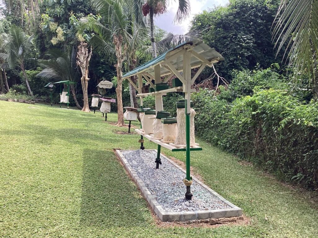 International Stingless Bee Centre
