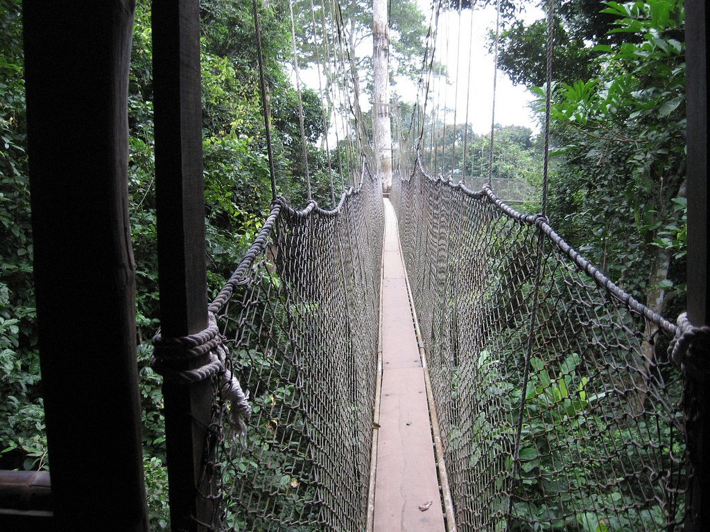 Kakum National Park & Canopy Walkway
